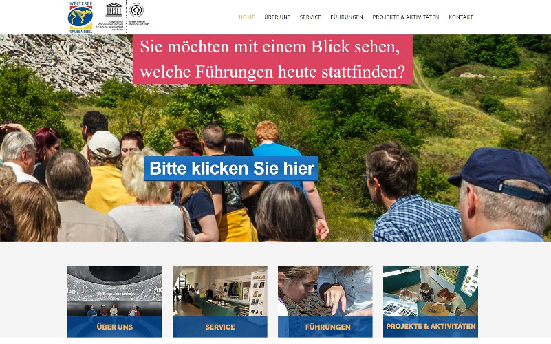 Grube Messel Webdesign